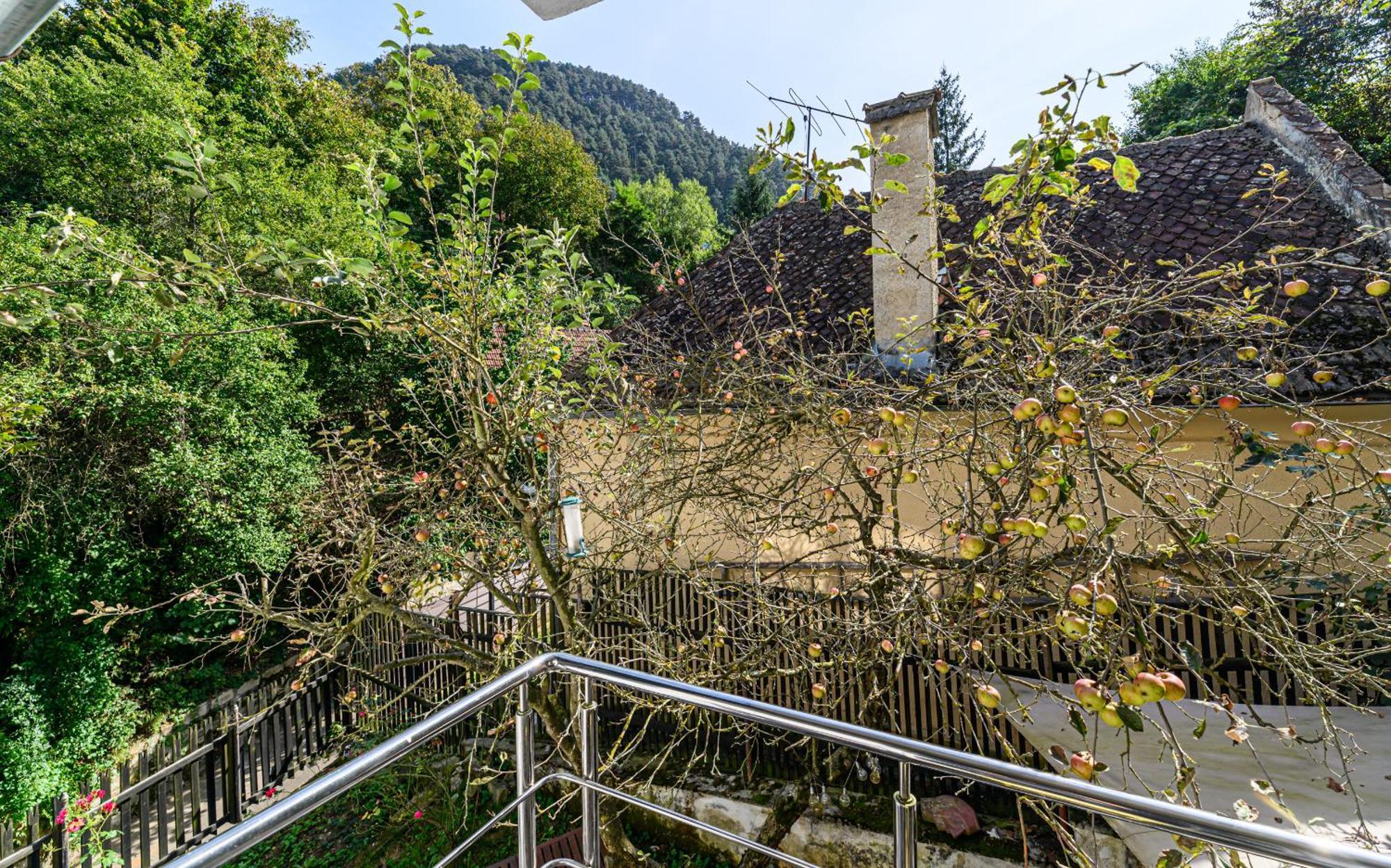 C Alex Apartment Brasov Bagian luar foto